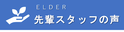 先輩スタッフの声